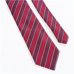  Striped tie